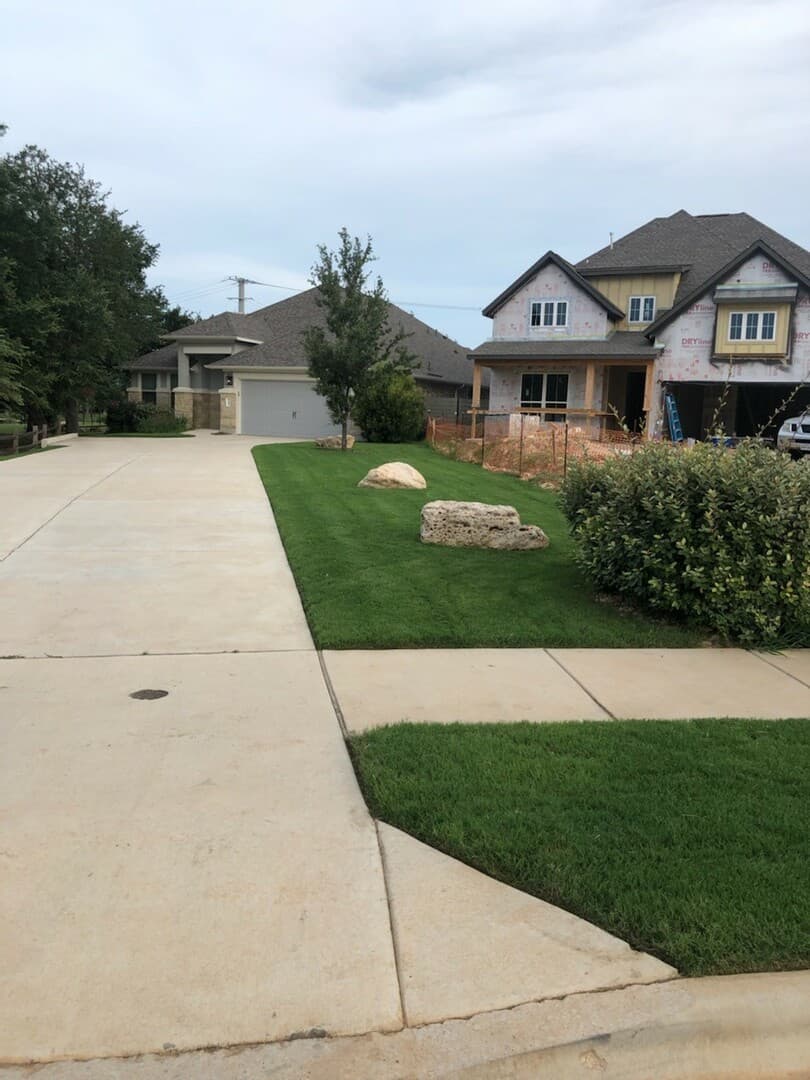 Green Dream lawn project 1