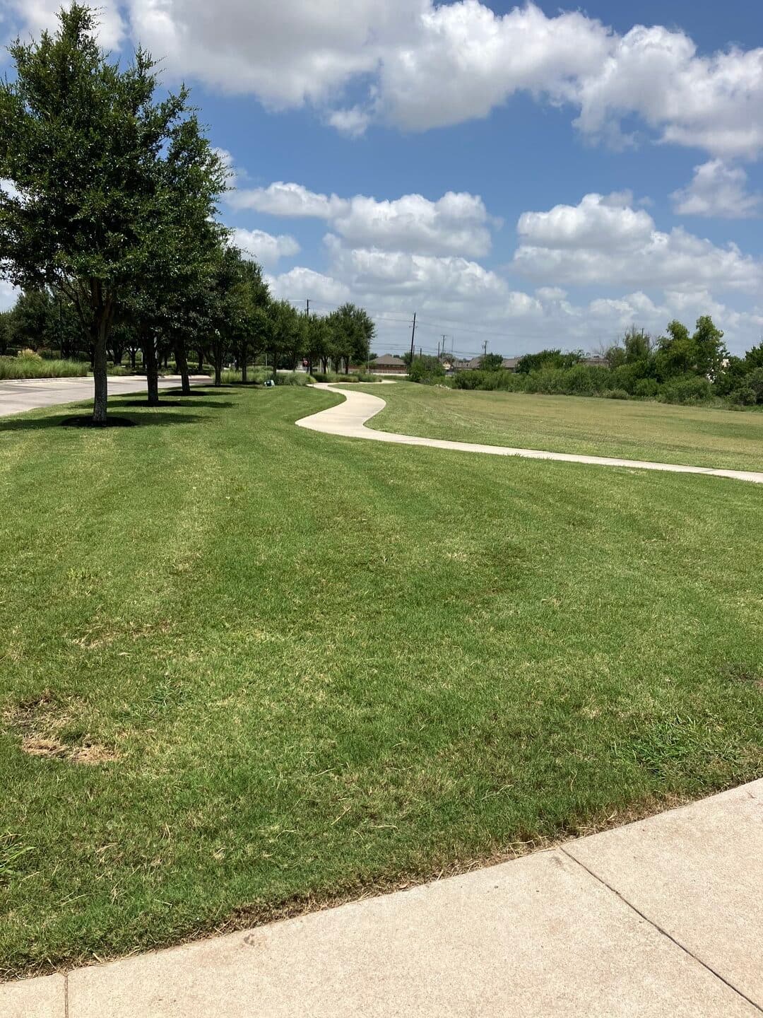 Green Dream lawn project 2