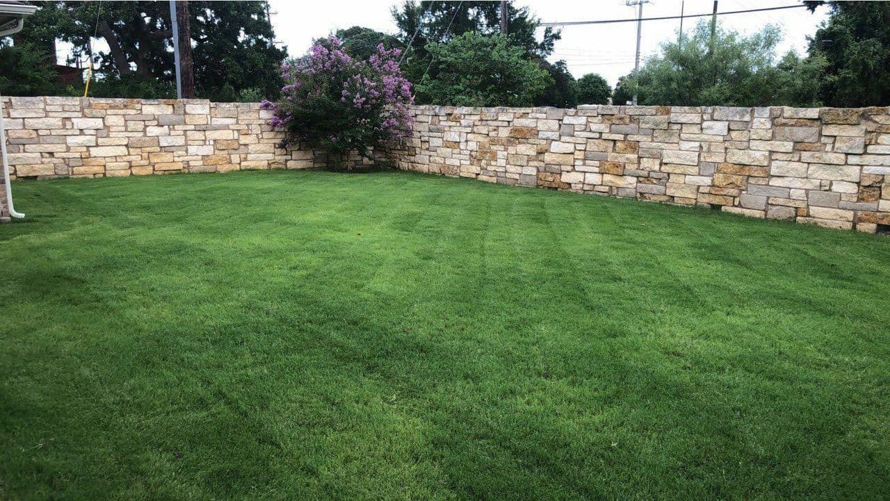 Green Dream lawn project 5