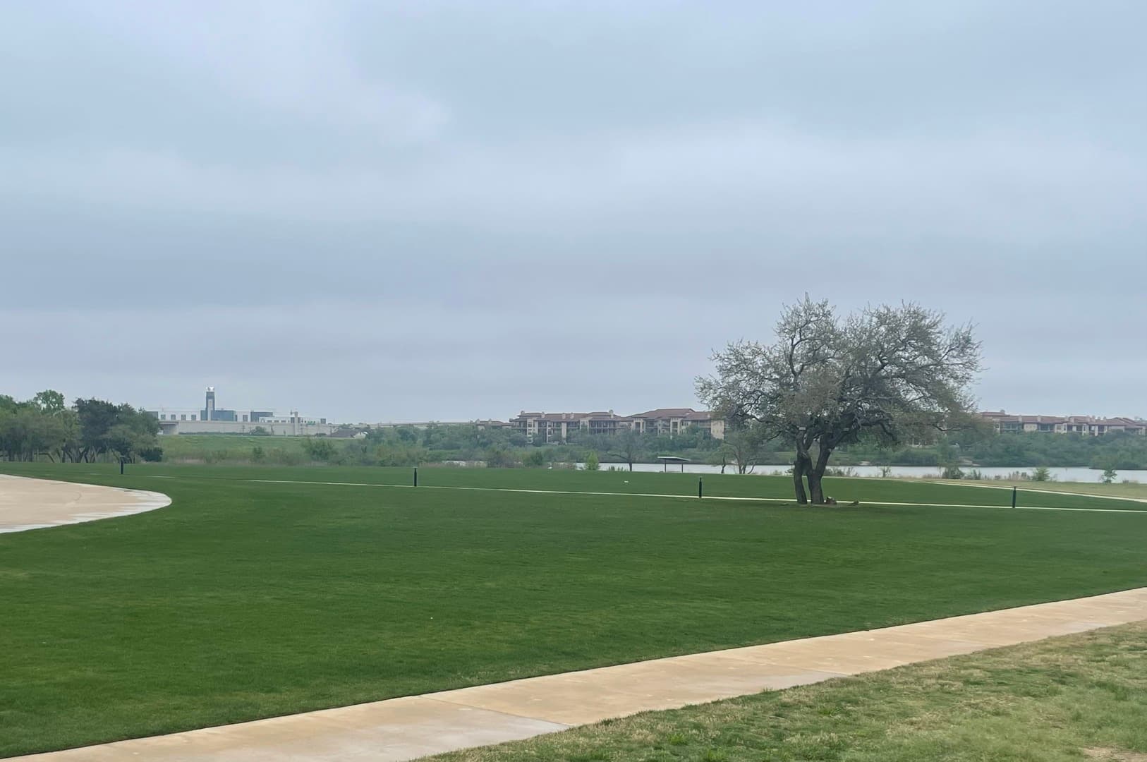 Green Dream lawn project 8