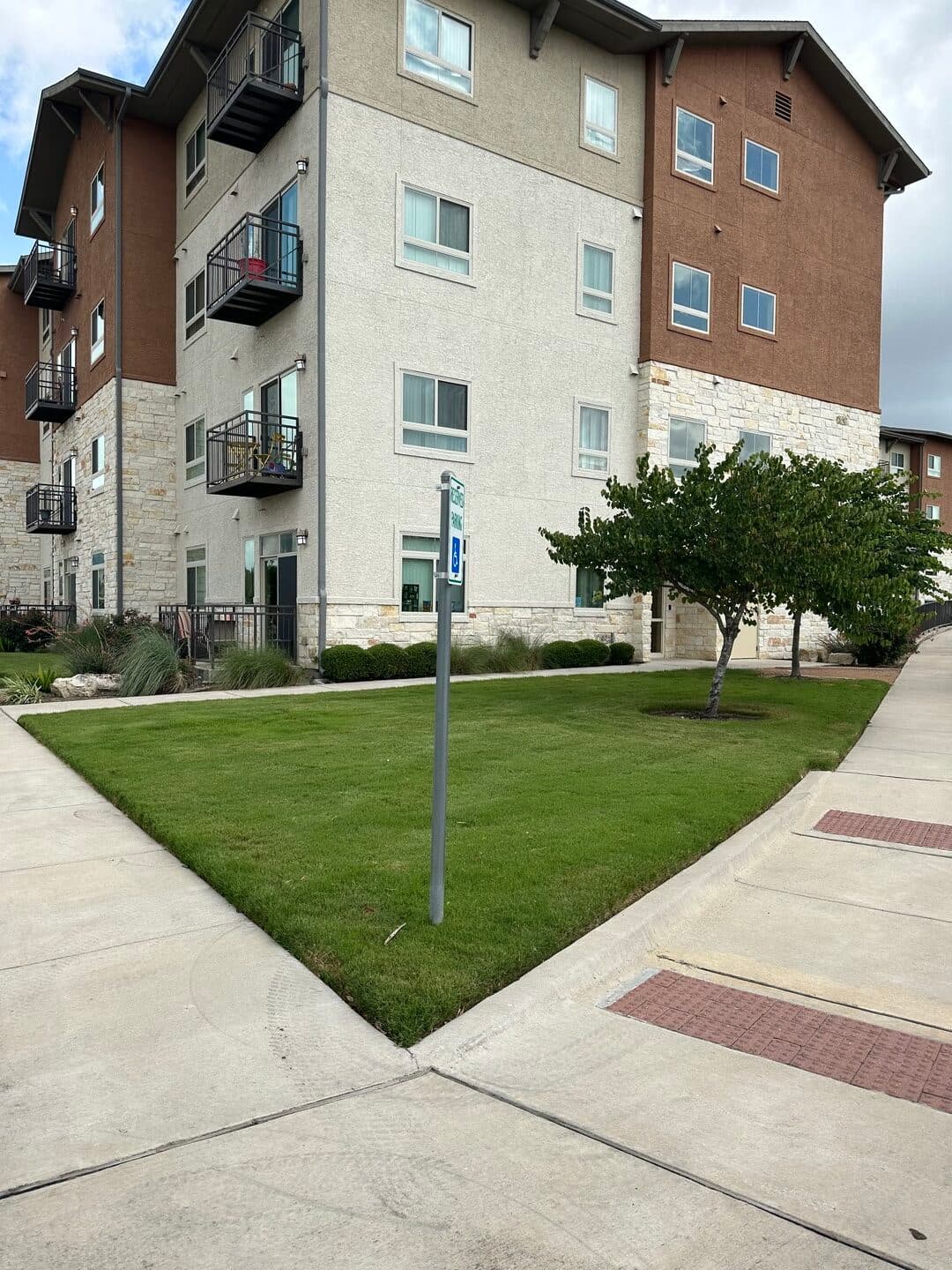 Green Dream lawn project 11