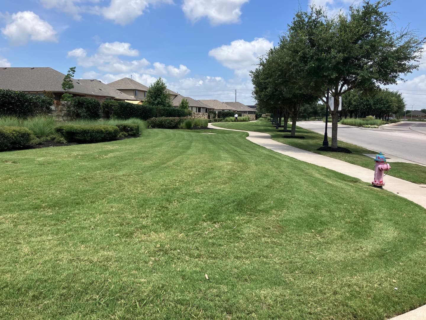 Green Dream lawn project 13