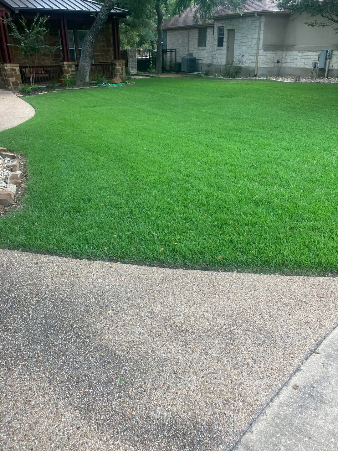 Green Dream lawn project 18