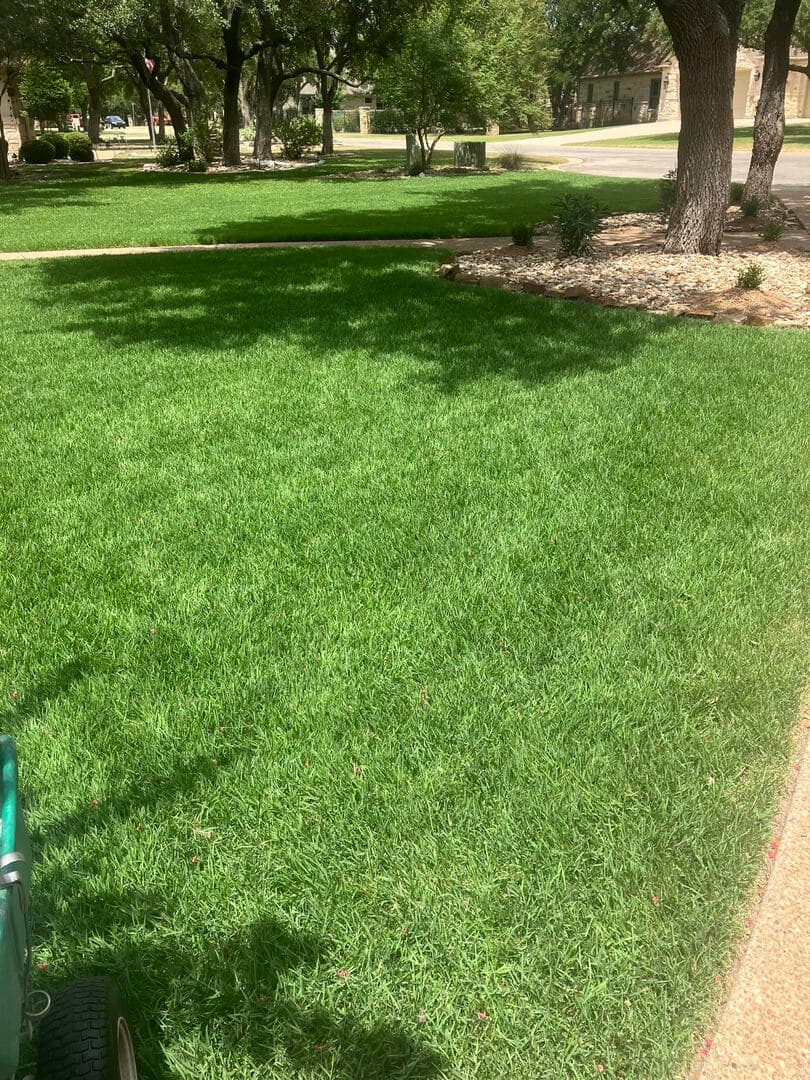 Green Dream lawn project 19