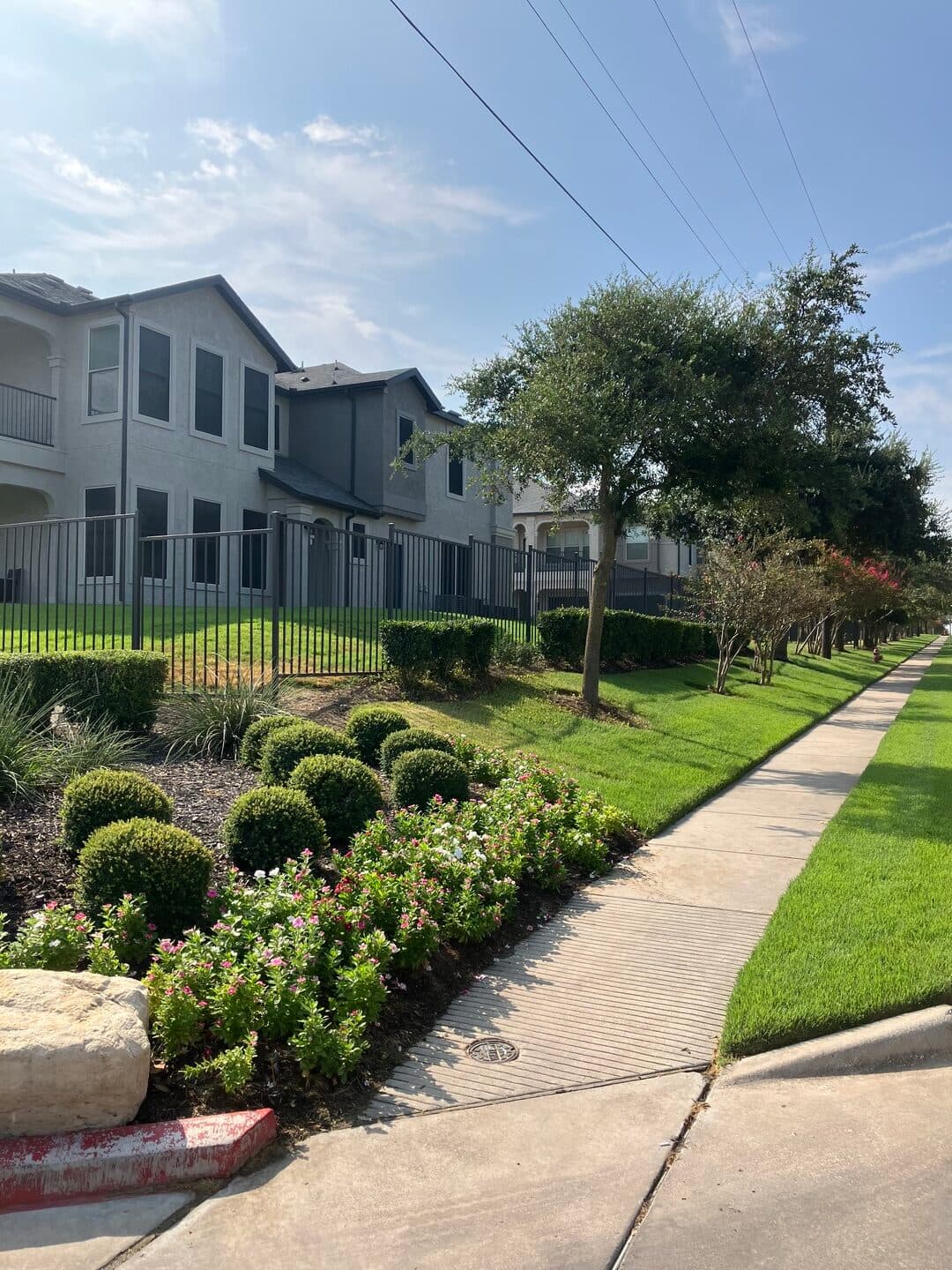 Green Dream lawn project 21