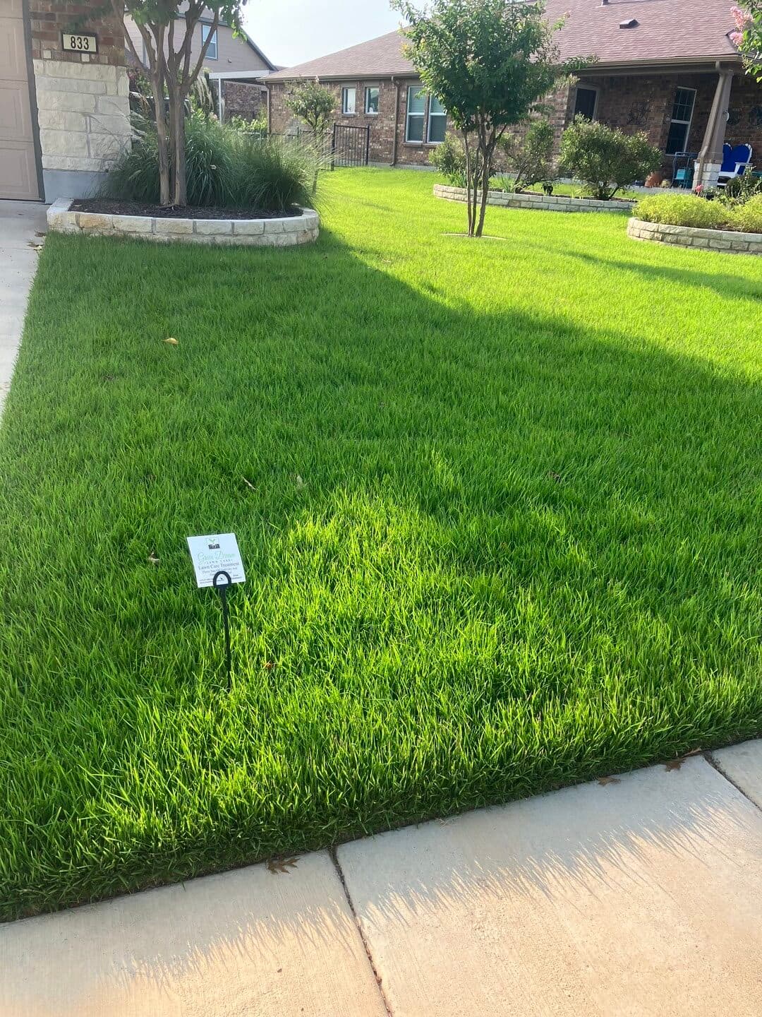 Green Dream lawn project 27