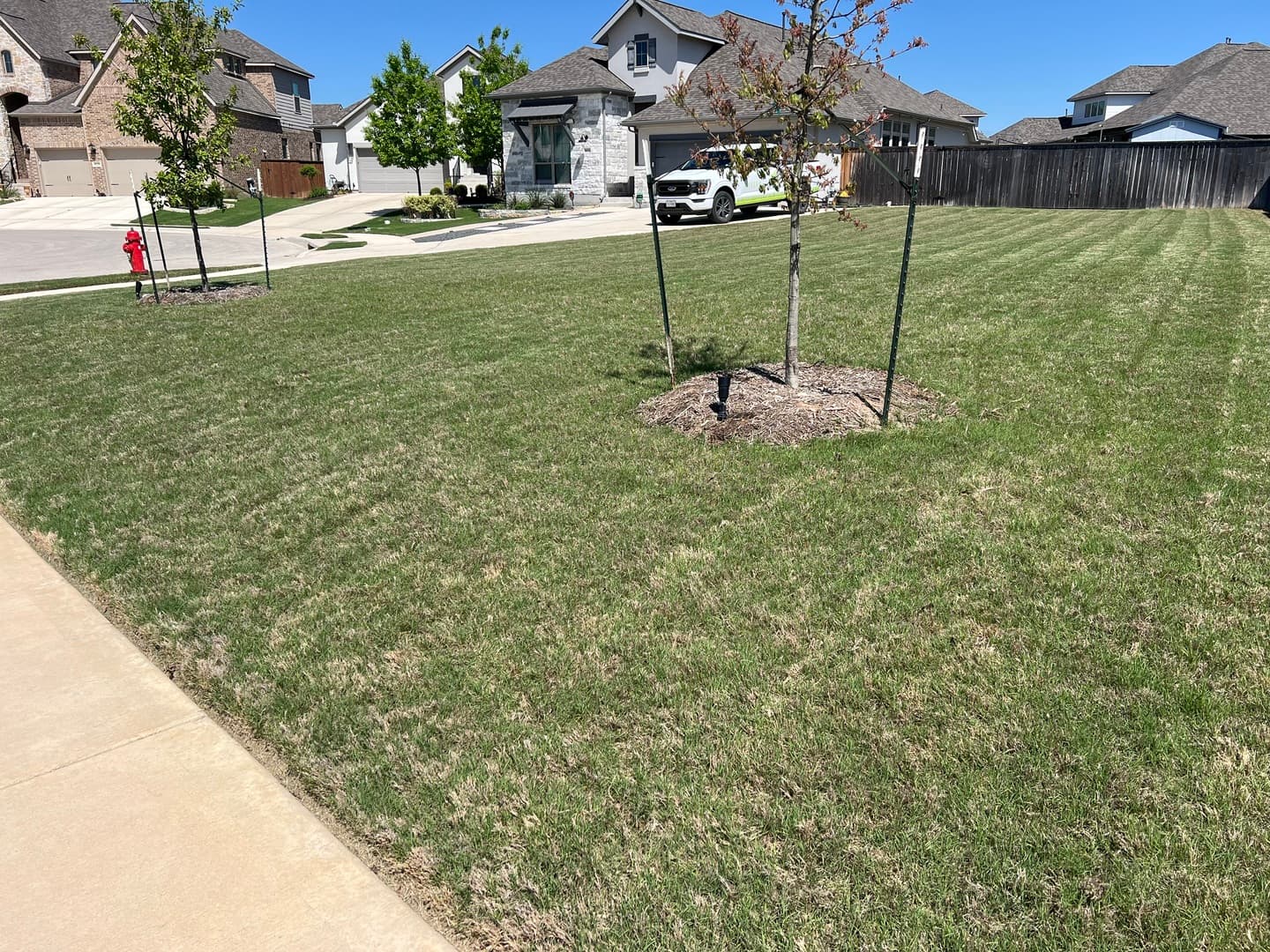 Green Dream lawn project 29