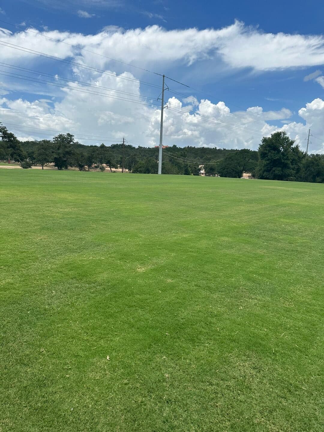 Green Dream lawn project 30