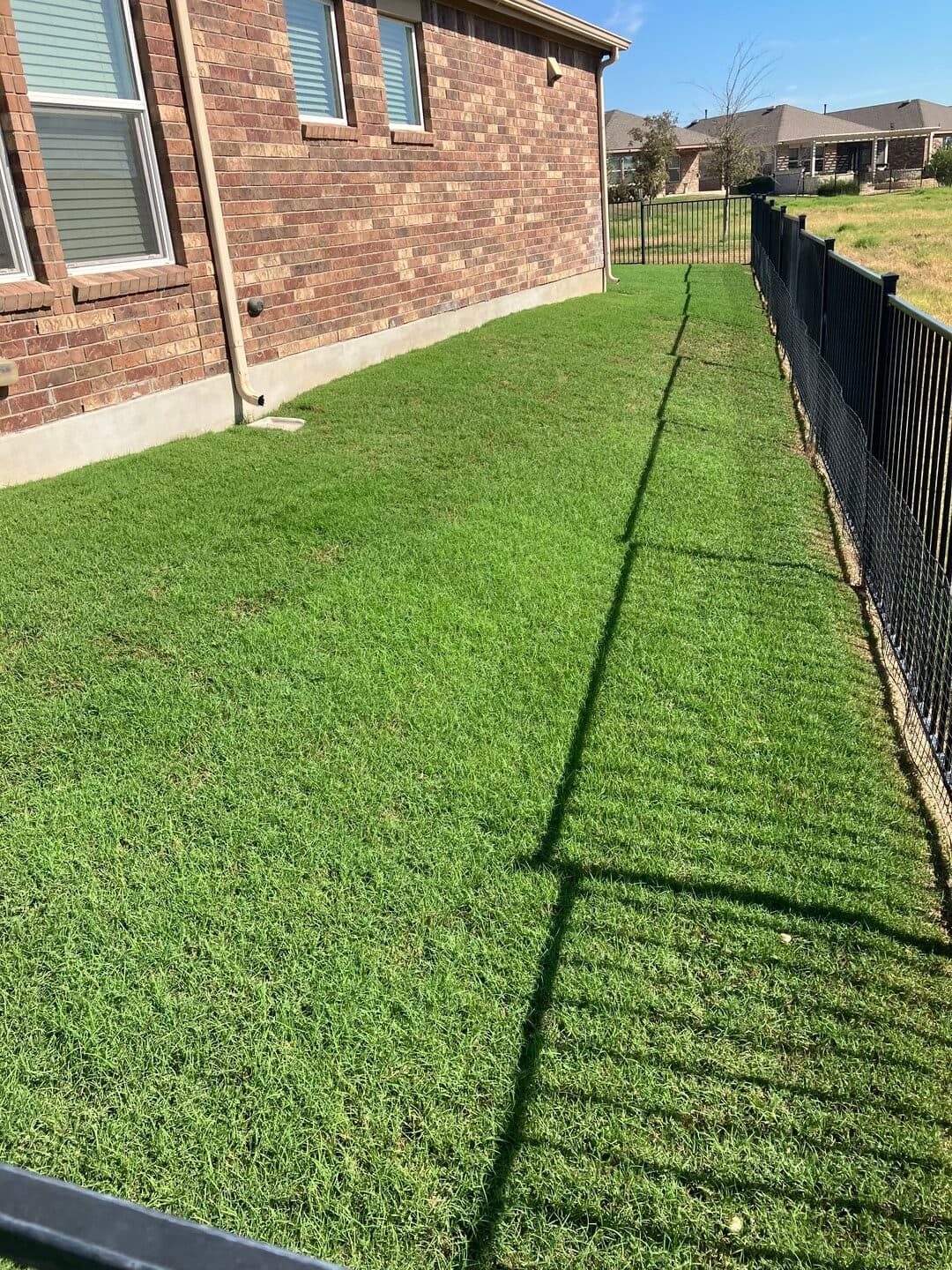 Green Dream lawn project 38