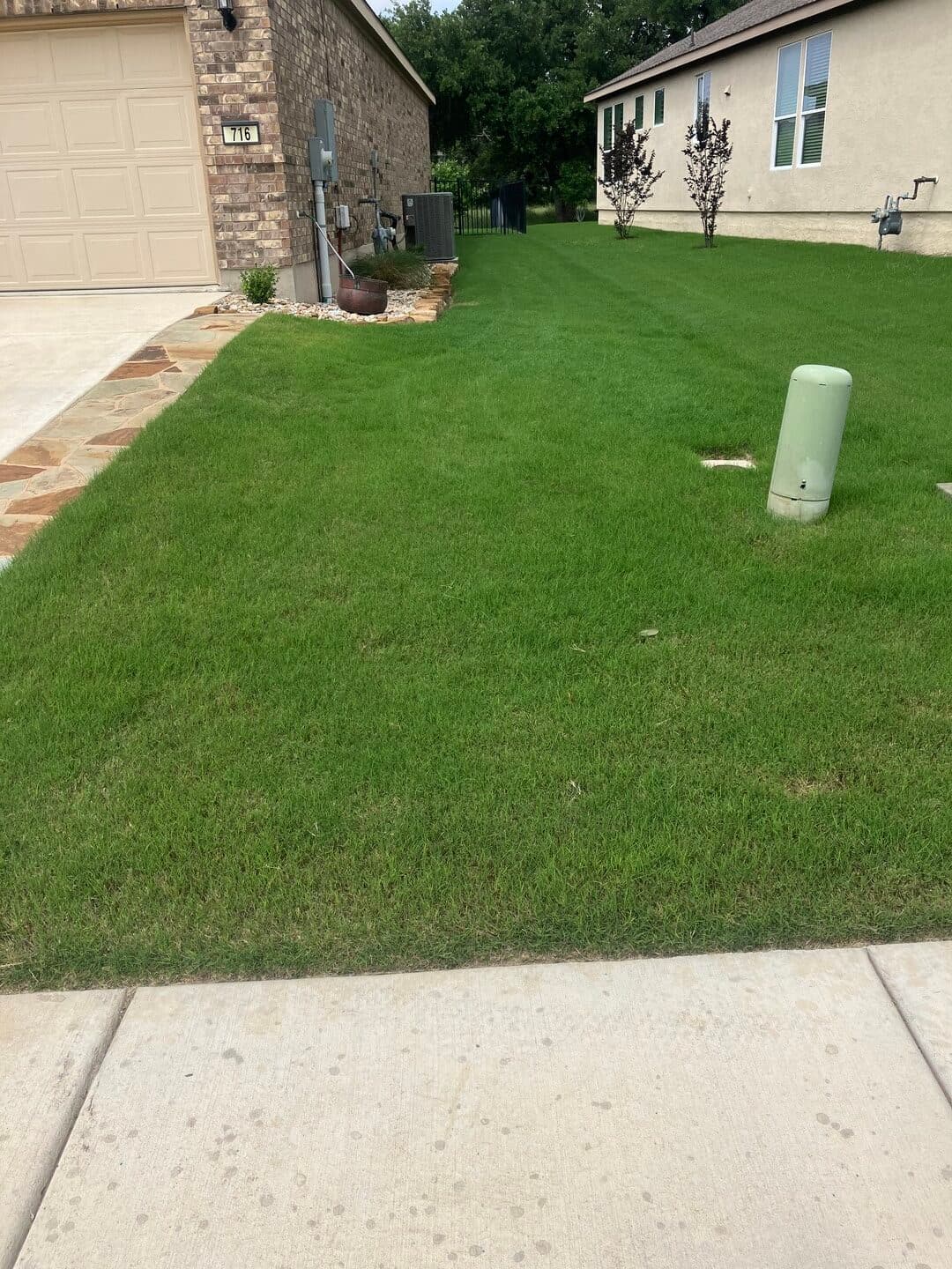 Green Dream lawn project 39