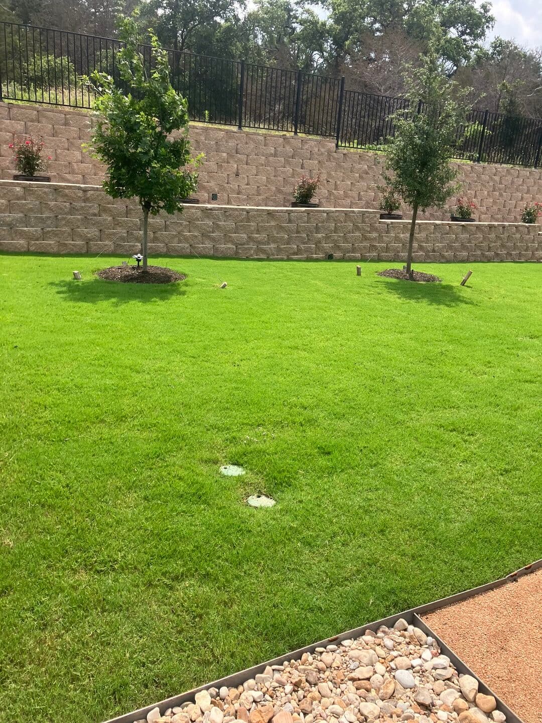 Green Dream lawn project 40
