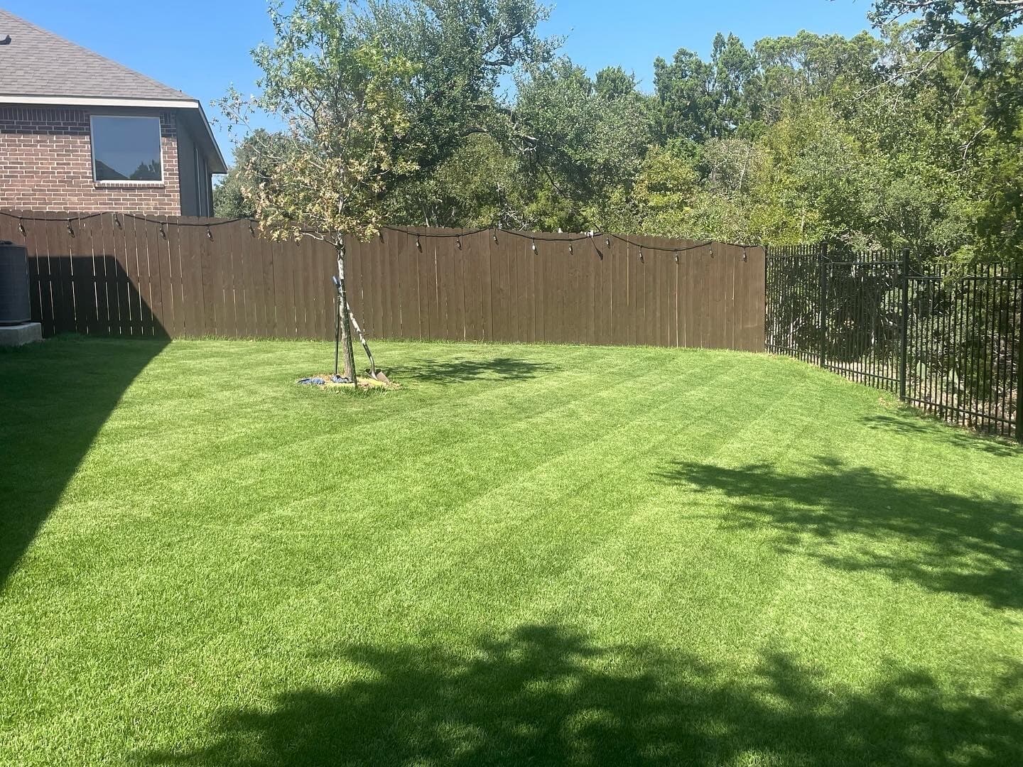 Green Dream lawn project 42