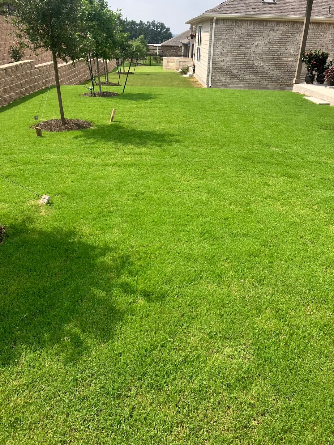 Green Dream lawn project 46
