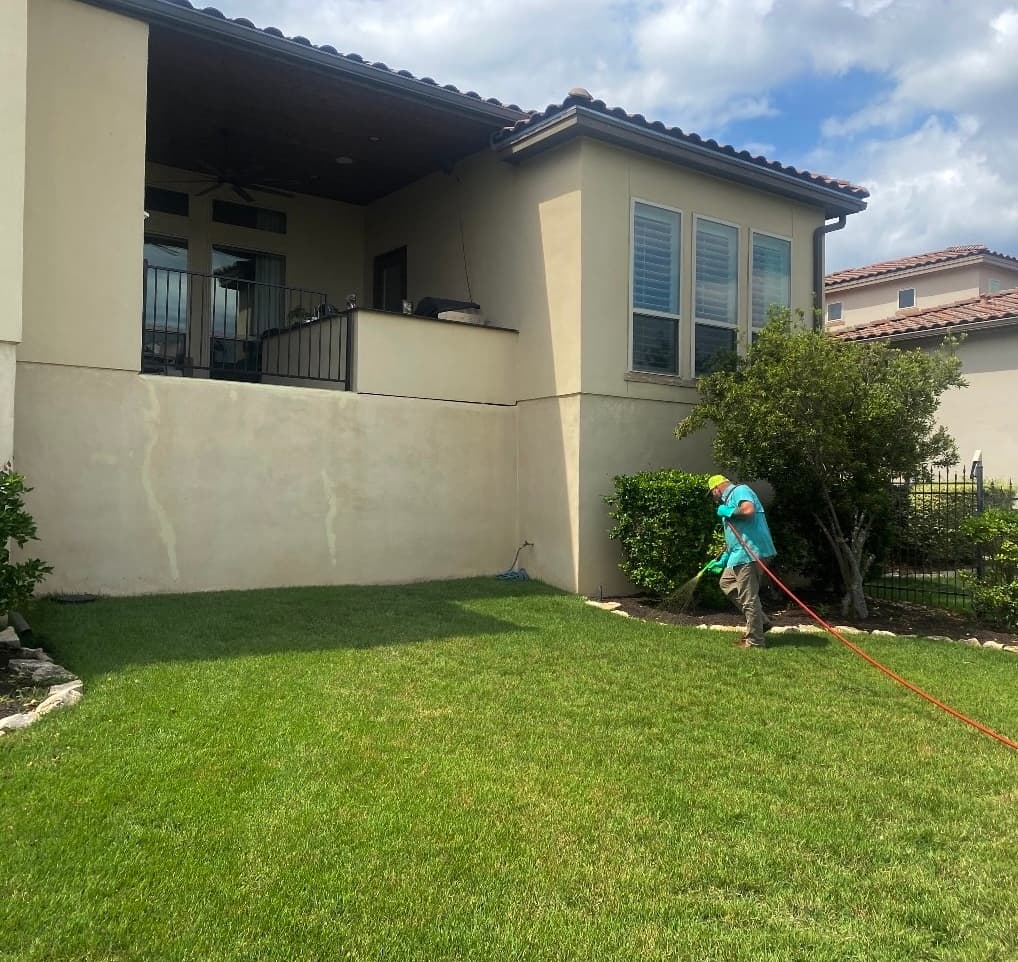 Green Dream lawn project 54