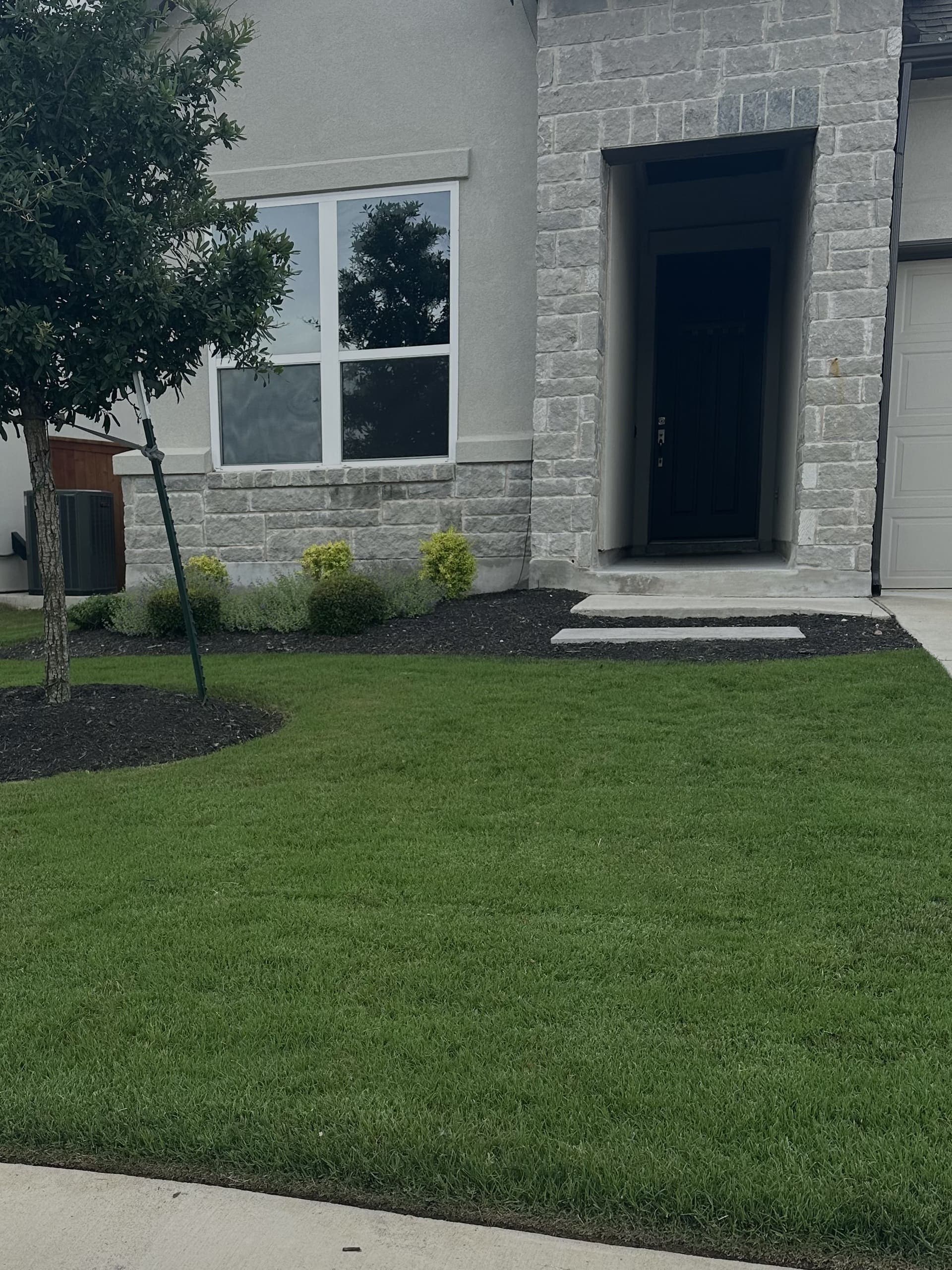 Green Dream lawn project 55