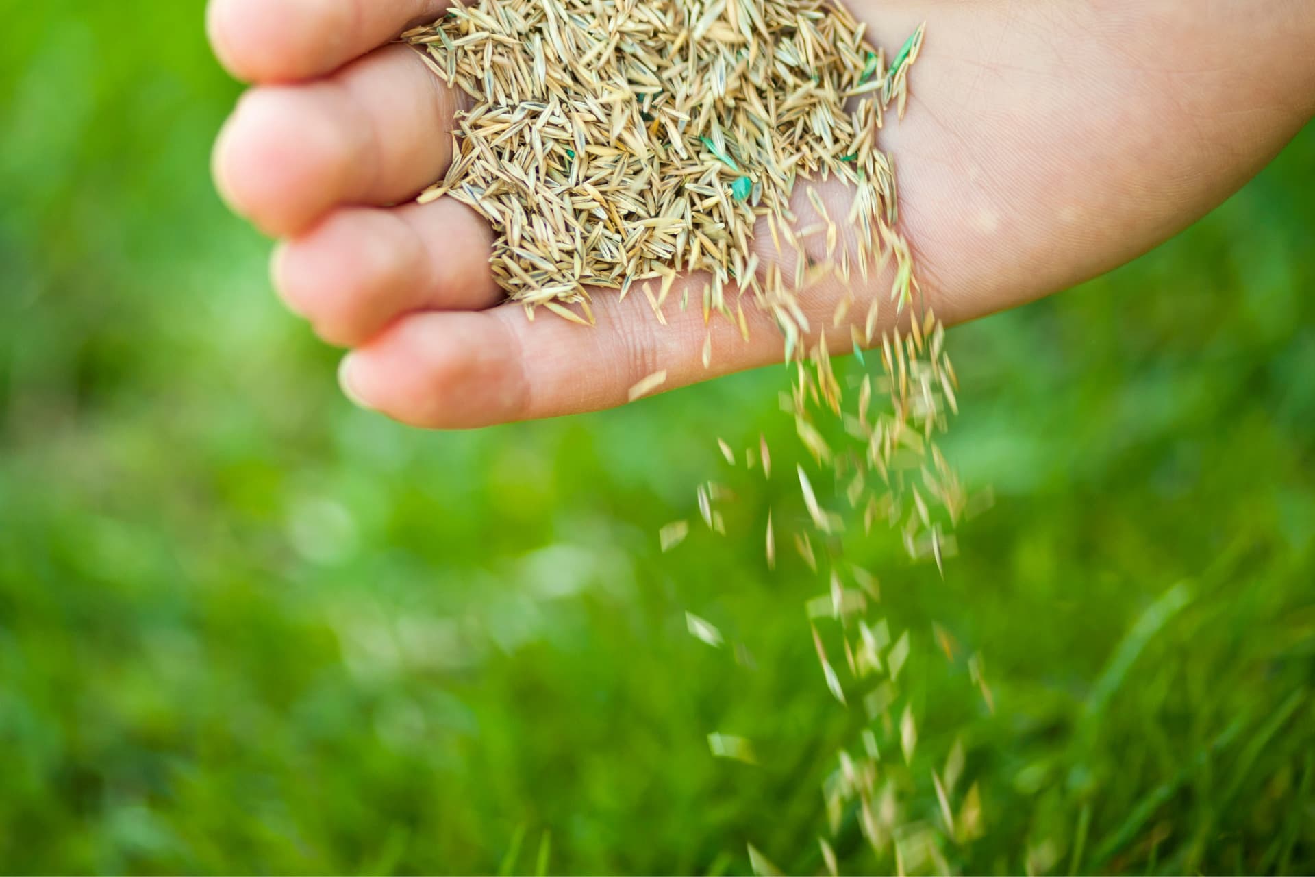 Overseeding