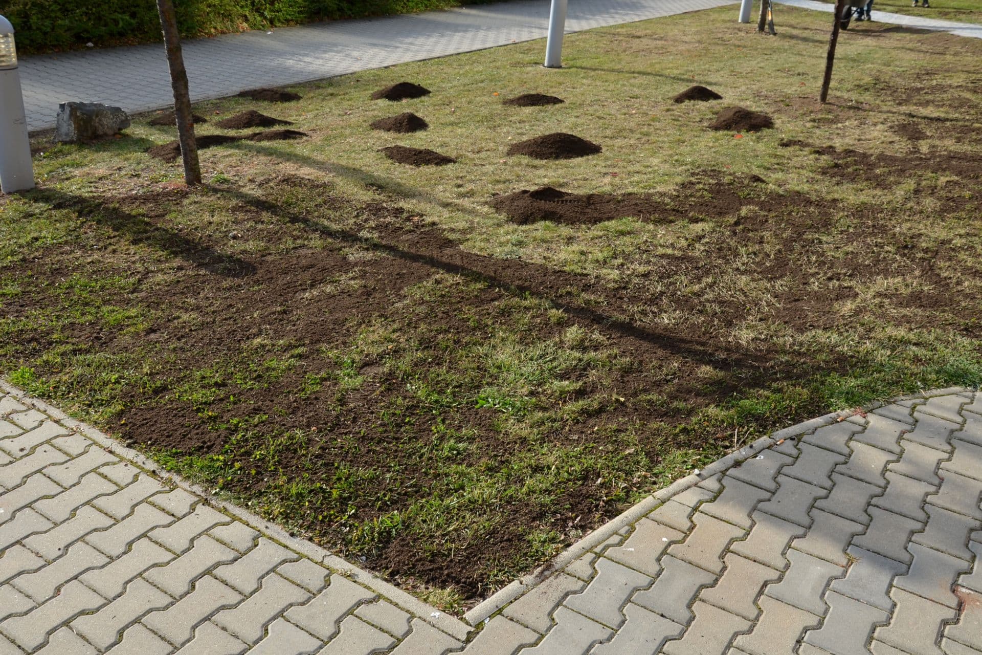 Topdressing