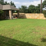 lawn fungal disease Georgetown.JPG