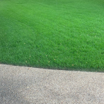 lawn care Georgetown.png