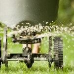 Lawn-Fertilzation (1).jpg