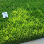 lawn care checklist.png