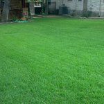 Winter Lawn Care.png