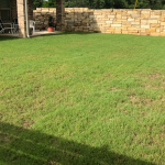 Winter Weed Control near me.png
