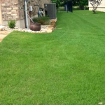 lawn care guide Georgetown.png
