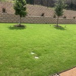 Copy-of-Res-11-rotated.jpg